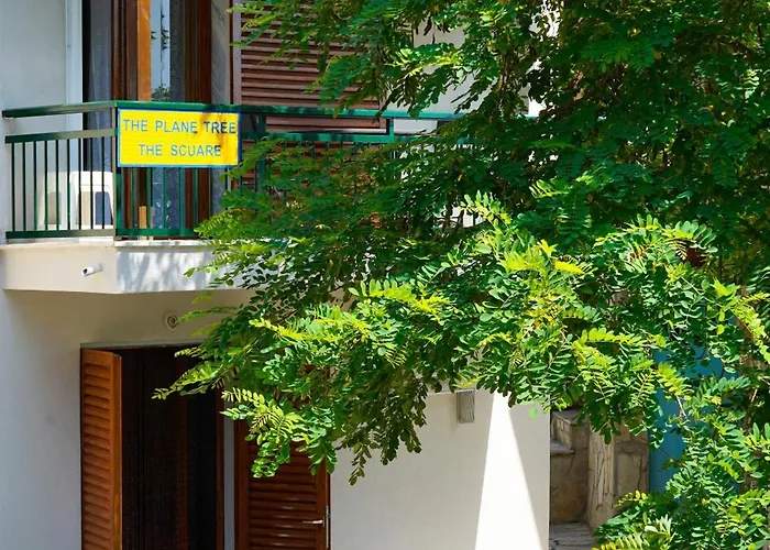 The Square 아파트 Maries (Thasos)